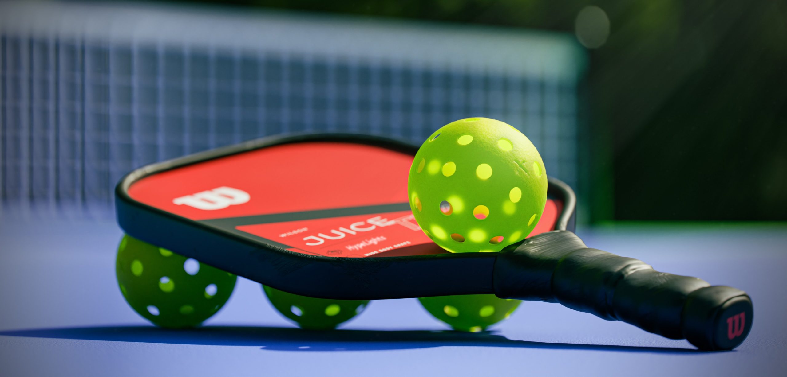 Women, Wealth, and Wellness – Pickleball
